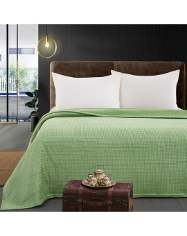 Κουβέρτα μονόχρωμη υπέρδιπλη Fleece Art 11552 220x240 Πράσινο Beauty Home